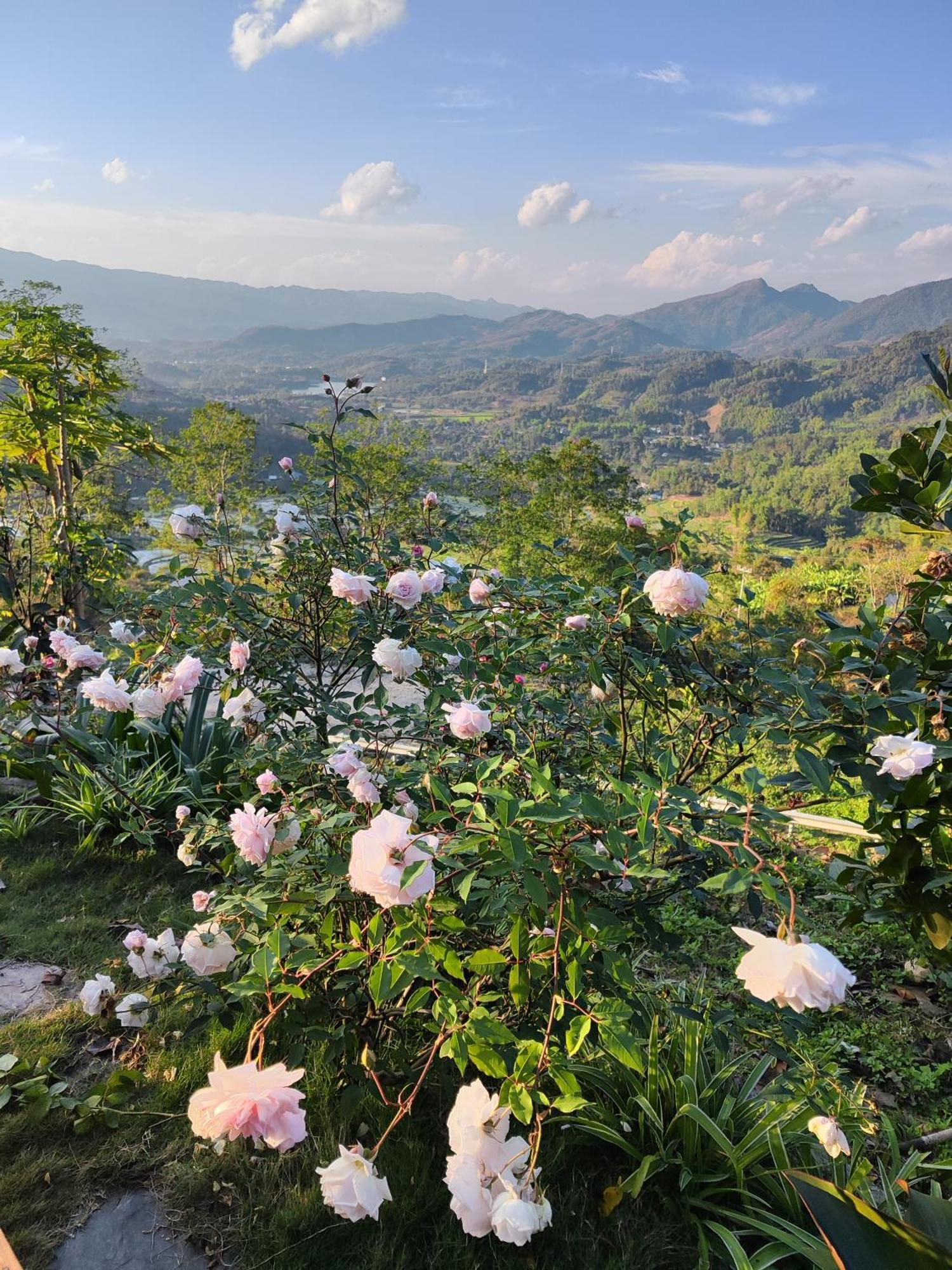 Ecolodge Ke Nenh Dien Bien Ban Hin Lom Exteriör bild